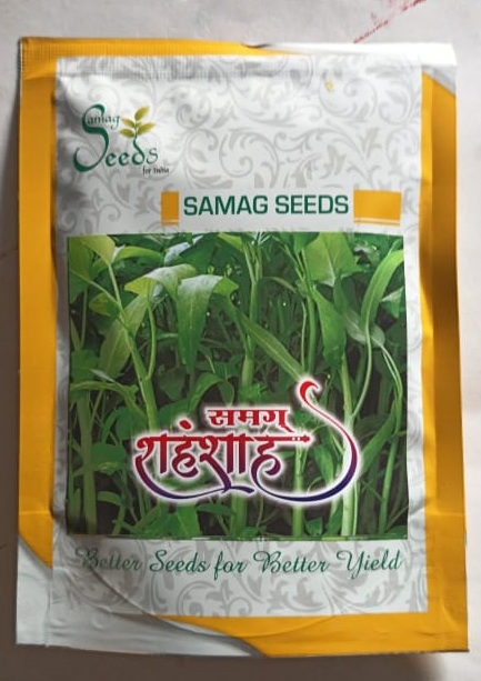 Water Spinach Shahanshah